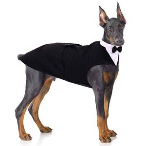 lot 3933 image: PUMYPOREITY Dog Tuxedo and Bandana Set, Formal Gentleman Dog Attire with Bowtie for Wedding, Birthday, Christmas, 2 PiecesPack, 2XL, Black