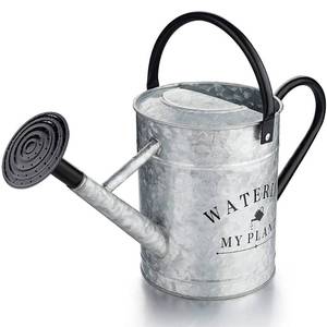 lot 4121 image: Garutom Galvanized Watering Can for Outdoor Indoor Plants, 1 Gallon Decorative Countryside Style Water Can with Removable Spout, Perfect Metal Watering Can for Indoor Plants and Garden Flower