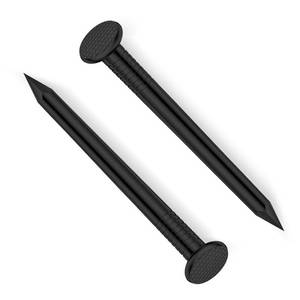 lot 4139 image: Etauwe 1 Inch Black Carbon Steel Flat Nails, 500 PCS