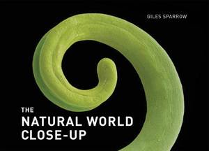 lot 4479 image: The Natural World Close-Up