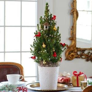 lot 5180 image: KLEWEE Cardinal Birds for Crafts, Mini Cardinal Clip On Christmas Tree Ornaments Artificial Red Birds Decorations for Wreaths Centerpieces DIY Crafts, Red Velvet & Feathers