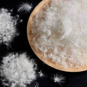 lot 5604 image: ROSE FEATHER Bulk Goose Down Feather Stuffing &amp Fill Hypoallergenic Pillow Filling, Repair, Restuff, Fluff for Couch Cushions, Comforters, Jackets5050-2Lb DIY