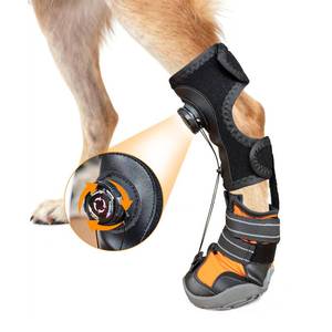 lot 5670 image: YAQUHO No Knuckling Brace for Dogs - Drop Foot Support with Adjustable Reel, Corrective Outdoor Pet Shoes - Helps Lift Toes for Nerve Conditions, Arthritis & Mobility Issues (M)