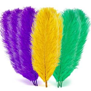 lot 6198 image: 18 Pcs Mardi Gras Feathers for Crafts 10-12 Inches Natural Green Gold Purple Feathers Bulk for DIY Craft Carnival Costume Mardi Gras Party Decorations(Pure Gold, Purple, Green)
