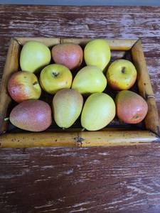 lot 8 image: Wooden Apple Crate with Fresh Picked Plastic Apples and Pears