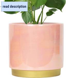 lot 241898 image: Gepege Pink Indoor Plant Pots for Plants, Large Ceramic Planter with Drainage Hole, 9.6-inch Succulent Orchid Flower Pot - Rainbow Pearl Glaze