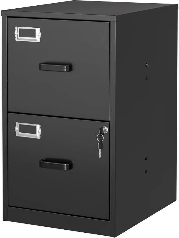 lot 101234 image: 2 Drawer File Cabinet with Lock Vertical Filing Storage Cabinet Office Home Steel Vertical File Cabinets for Letter Size File Cabinet Locked,Assembly Required