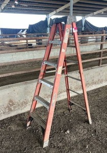 lot 16017 image: Werner 6ft Ladder