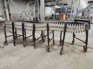 lot 15307 image: Industrial Roller Conveyor System