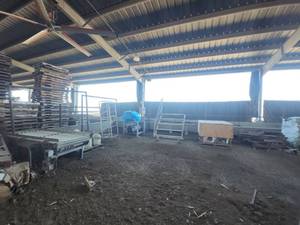 lot 16624 image: Industrial Conveyor Belt System