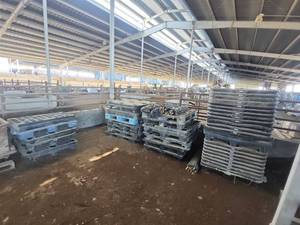lot 16632 image: Bulk Lot of Sysco Heavy Duty Plastic Pallets