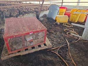 lot 18675 image: Industrial Metal Security Bin with Brute Trash Cans