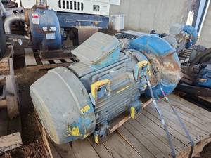 lot 19162 image: WEG Industrial Water Pump with Electric Motor