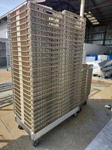 lot 15378 image: Bulk Lot of Plastic Chill Trays