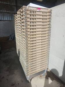 lot 15388 image: Bulk Lot of Plastic Chill Trays and Misc Items