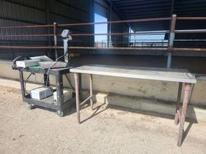 lot 15437 image: Ohaus VistaTrac Industrial Scale with Rolling Cart