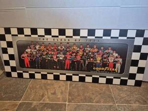lot 28533 image: 2005 NASCAR Goodyear Racing Class Photo