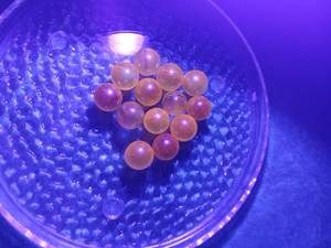 lot 28564 image: UV reactive Glass Marbles with Iridescent Finish