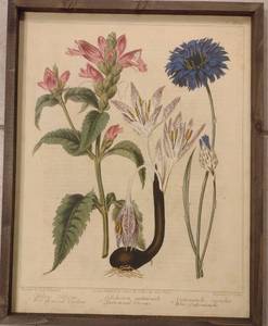 lot 335 image: Paris Loft Floral Botanical Wall Art
