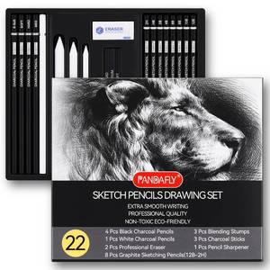 lot 29952 image: PANDAFLY Drawing Sketching Pencil Set, 22 Piece Pro Art Pencil Kit - Graphite Pencils (12B-2H), Black and White Charcoal Pencils, Charcoal Sticks, Stumps, Eraser, Sharpeners - Retail $8