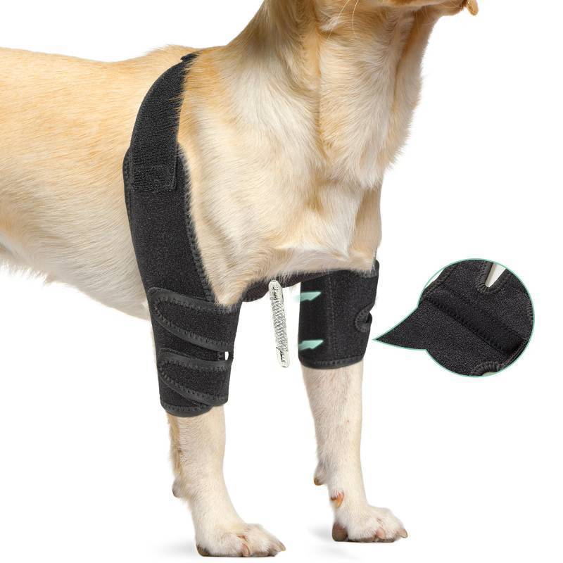 lot 29418 image: Lyderpet Dog Elbow Protector Brace for Canine Pads Elbow&Shoulder Support Callus, Hygroma, Dysplasia, Arthritis, Dislocation, Pressure Sores, with Metal Splints Wrap Both Left and Right Front Legs