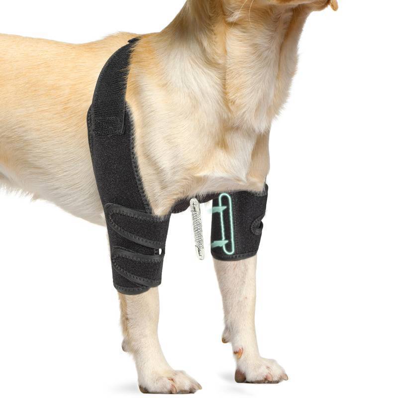 lot 29425 image: Lyderpet Dog Elbow Protector Brace for Canine Pads Elbow&Shoulder Support Callus, Hygroma, Dysplasia, Arthritis, Dislocation, Pressure Sores, with Metal Splints Wrap Both Left and Right Front Legs