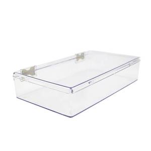 lot 3693 image: 1 Clear Hard Plastic Box with Hinged Lid , 10 38 L x 6 W x 2 H, Plastic Display Case and Keepsake Storage Box, Made in USA by Gary Plastic Packaging