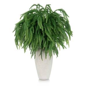 lot 3729 image: TOWPONICS 12Pcs 30Inch Real Touch Norfolk Pine Stems, Faux Pine Branches for Decorating, Artificial Christmas Greenery Picks, Christmas Branches for Vases, Tables, Xmas Indoor Outdoor Home Decor