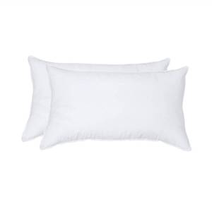 lot 3928 image: ANT-HOME 12x20 Pillow Inserts Soft Feather Pillow Set of 2 Indoor Decorative Sofa Down Pillows Bed Pillows Couch Pillow