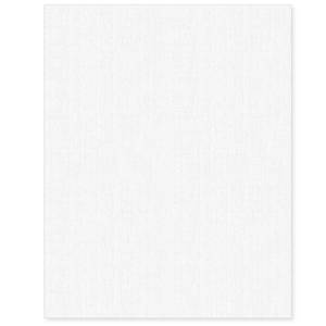 lot 1402 image: Linen Textured Cardstock White 100 Sheets 80 lb Cover, 8.5 x 11 Inches for Printers, Invitation, Arts and Craft, Scrapbook, DIY Projects - Retail $21