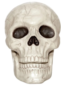 lot 41699 image: 10-inch Decorative Halloween Skull