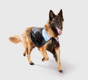 lot 41879 image: Boots & Barkley Galaxy Wizard Pet Costume LXL