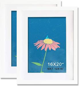 lot 765 image: $82 White 16x20 Frame, 2 Pack, Solid Wood with Mat, 12x16