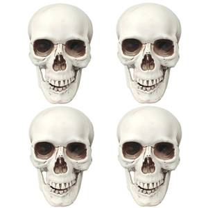 lot 34909 image: Skulls Halloween Decor, 5 Inch Plastic Fake Skeletons, Mini Skulls for Crafts Outdoor Halloween Decorations, Realistic Miniature Human Skull Heads (4) - Retail $20