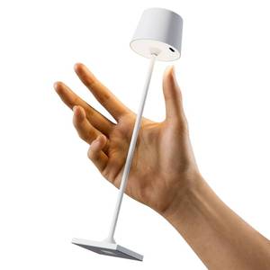 lot 2878 image: Timjorman Compact Cordless Table Lamp, Rechargeable LED Night Light, Dual Light Source (RGB Top & Warm Bottom), Touch Control & Timer, Metal Lamp for Bedroom & Kids Room (White 1PACK)