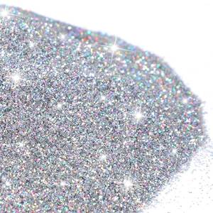 lot 5027 image: 500g Glitter Paint Additive Silver Holographic Glitter Paint Additive Silver Holographic Metallic Sparkling Powder Mix with Acrylic for Interior Exterior Wall Ceiling Wood(Silver Holographic)