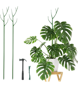 lot 1017 image: Plant Poles for Potted Plants Indoor, Green Twig Trellis for Outdoor Plants, 2 Pack 39.4inch  - Retail $10