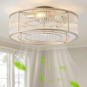 lot 161268 image: Retails for $138 Low Profile Ceiling Fans with Lights, 20 Gold Crystal Ceiling Fan with Light Flush Mount and Remote Control, Drum Caged with 6 Speeds for Bedroom, Nursery, Living Room (Gold Crystal)