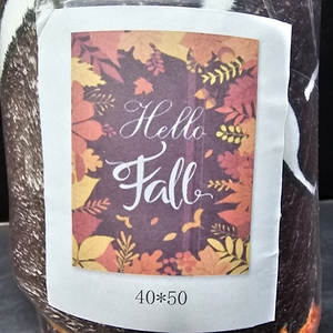 lot 13501 image: Fall Throw Blanket Fall Decor Blanket Autumn Leaves Flannel Fleece Blanket for Couch Living Room Hello Fall Super Warm Soft Cozy Plush Lightweight Seasonal Bedding Blanket for Kids Adults 40x50