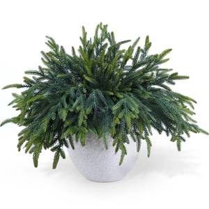 lot 2830 image: Tulvend 24 Pcs Pine Branches - Real Touch Artificial Pine Stems - Christmas Greenery Picks for DIY Wreaths Garlands Vase Arrangements, Indoor Outdoor Christmas Decor