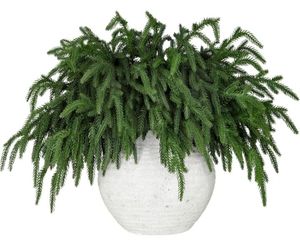 lot 388 image: 12 Pcs Realistic Christmas Pine Branches Natural Droopy Soft Bendable Artificial Pine Stems Picks Lifelike Greenery Stems for Vases Cedar Wreaths Garland Outdoor Indoor Christmas Decorations