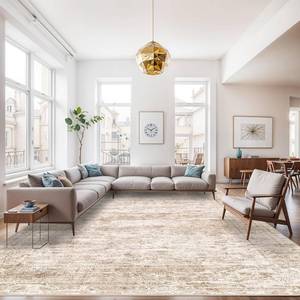 lot 131097 image: Retails for $126 Living Room Area Rugs 9x12 Abstract Washable Rug for Dining Room Non-Slip Low Pile Carpet for Bedroom Ultra Thin Soft Stain Resistant Indoor Floor Mat for Household Women Aged 35-45 9x12 Beige Brown