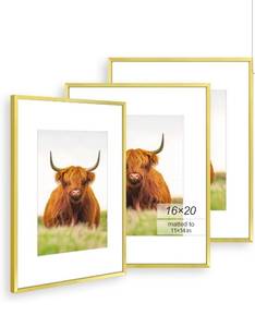 lot 17038 image: Golden State Art, 16x20 Picture Frame Set of 3, Gold Thin Border, Display Photo 11x14 with Mat or 16x20 Without Mat, Poster Frame for Wall Hanging Horizontal and Vertical - Retail $49