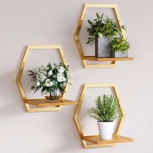 lot 17123 image: 3 Pack Solid Wood & Heavy Duty Metal Wall Plant Stands,9inch Natural Wood Shelf, Boho Arch Hanging Planter for Indoor 25 LB Load for Plants, Flowers, Herbs Golden - Retail $39