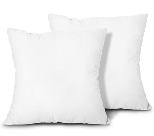 lot 17133 image: EDOW Throw Pillow Inserts, Set of 2 Lightweight Down Alternative Polyester Pillow, Couch Cushion, Sham Stuffer, Machine Washable. (White, 24x24) - Retail $0