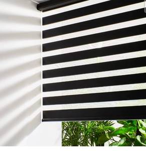 lot 17160 image: Persilux Cordless Zebra Blinds for Windows Free-Stop Window Shades (27 W X 72 H, Black) Dual Layer Light Control for Day and Night, Light Filtering Sheer Shades for Home, Easy to Install - Retail $53