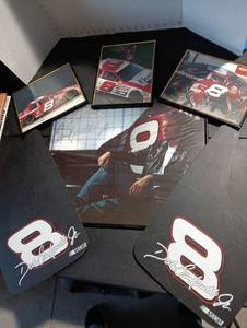 lot 147 image: Dale Jr #8 pictures & mud flaps