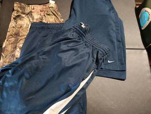 lot 410 image: Mens shorts.  2X.  Nike brand
