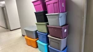Bundle of Storage Totes (2 30 Gallon & 10 18 Gallon Totes)