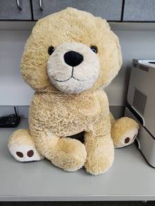 lot 333 image: Large Plush Teddy Dog - Cream Colored